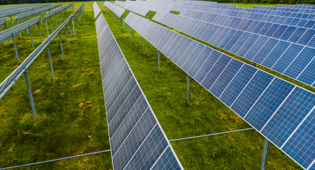 Vía libre al nuevo Parque Solar Fotovoltaico Amanecer